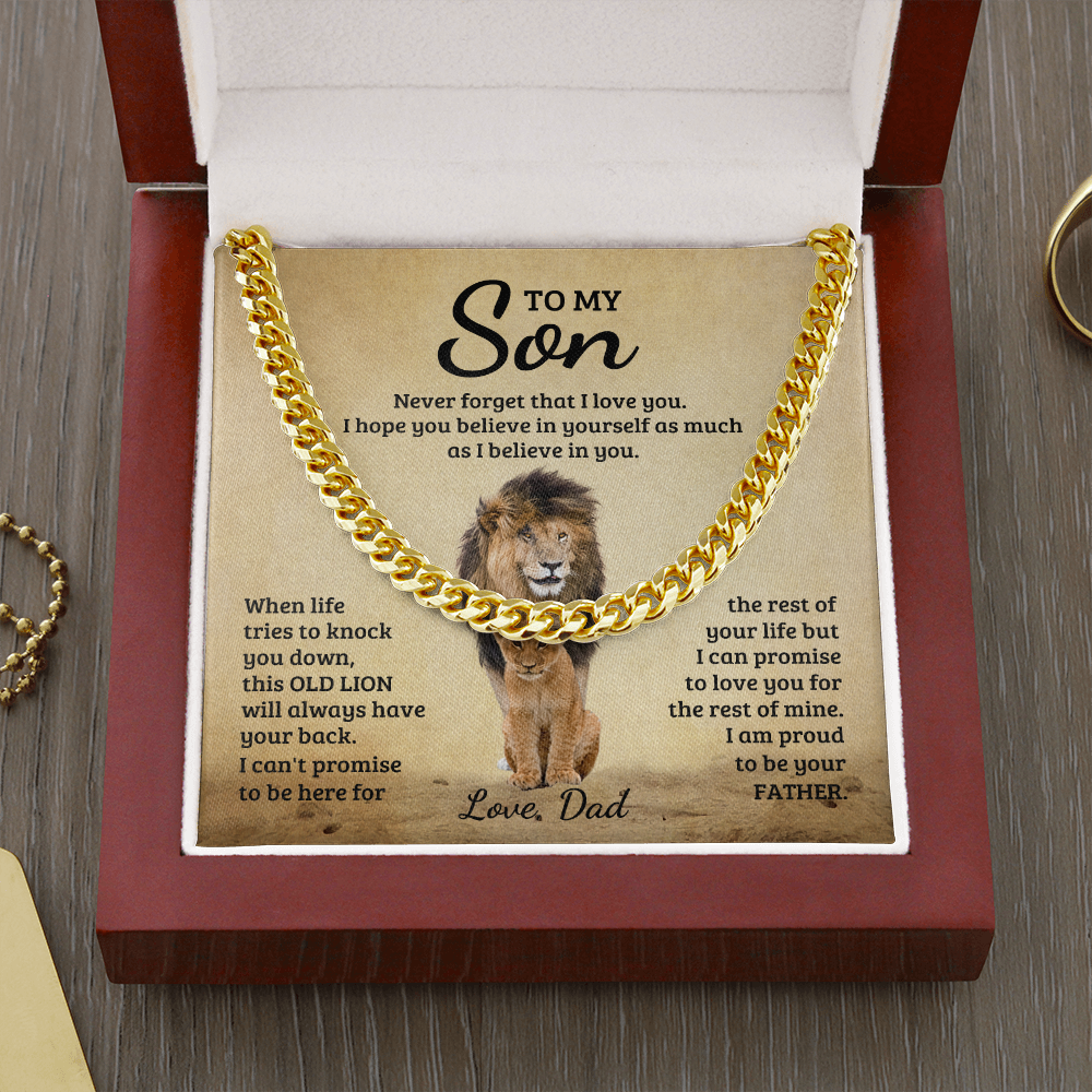 Son - Promise